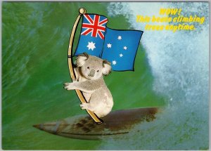 Australian Koala Surfing Lithograph Postcard with Australia Flag C12