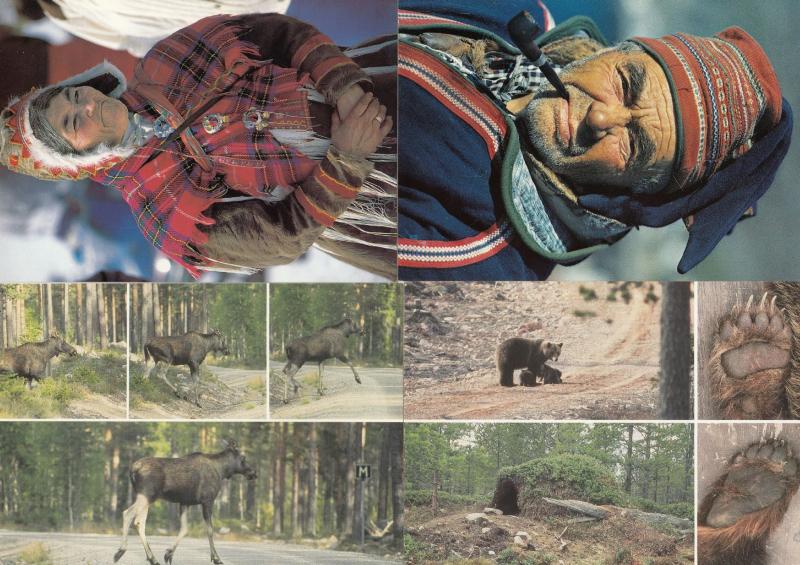 Norway Wild Deadly Animals & Sami Hunters 4x Norwegian Postcard s