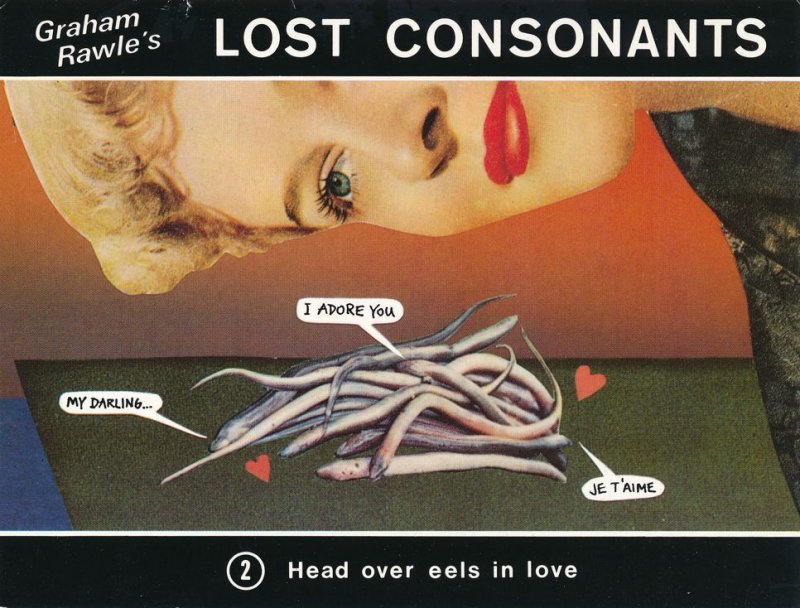 Graham Rawle's Lost Consonants - Humor - Pun - Head over Eels in Love