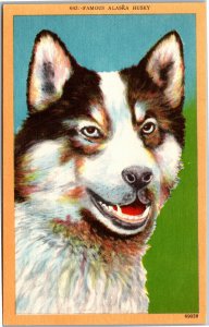 Postcard Animal Dog Famous Alaska Husky
