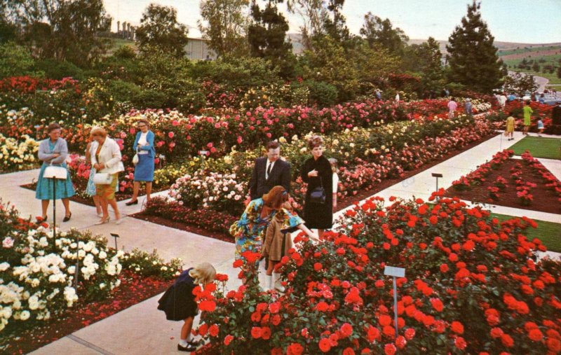 Pageant of Roses Garden,Rose Hills Memorial Park,Whittier,CA BIN