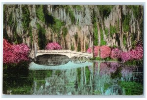 c1940's Magnolia Gardens Bridge Flowers Charleston South Carolina SC Postcard