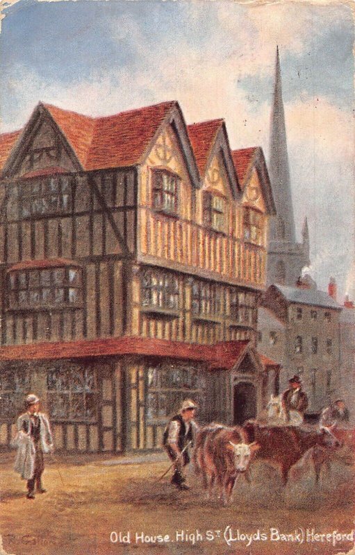 L366 England Old House High St Lloyds Bank Hereford Cows painting postcard