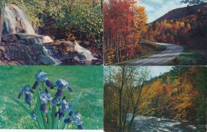 (4 cards) Smoky Mountains Tennessee or North Carolina - Laurel Falls Purple Iris