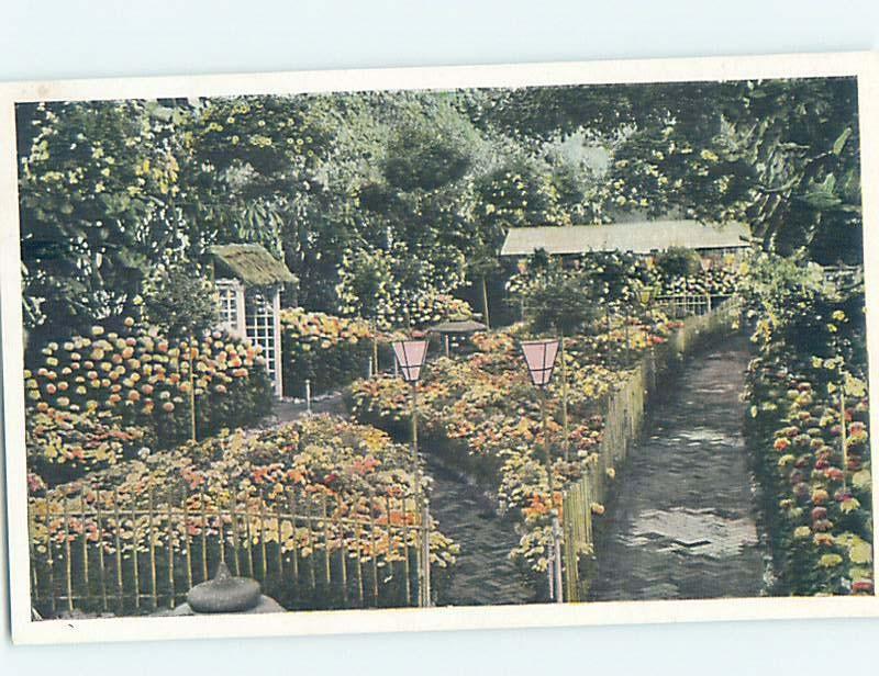 Unused W-Border MISSOURI BOTANICAL GARDEN St. Louis Missouri MO HM8124