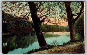 River Landscape View Drew Mississippi MS Cancel 1908 DB Postcard K8