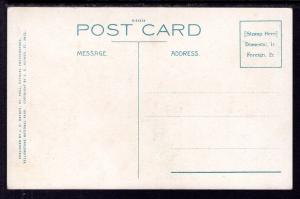 Petrified Tree,Yellowstone National Park