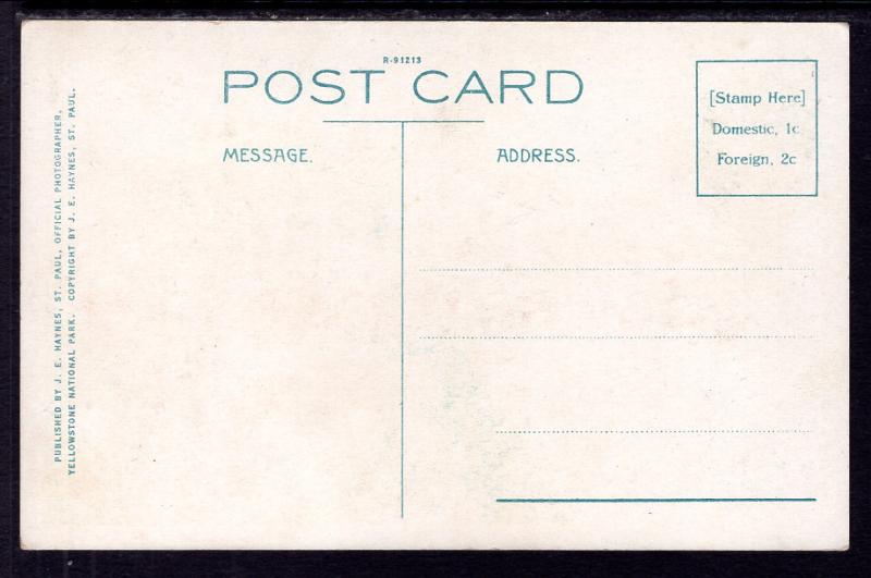 Petrified Tree,Yellowstone National Park