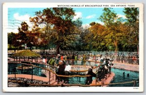 San Antonio TX~Watching Animals At Brackenridge Park~Seals~1934 Postcard