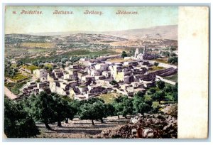 c1905 Aerial View Houses Establishments in Bethany Palestine Antique Postcard