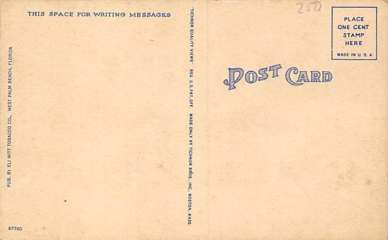 Whitehall Hotel Palm Beach FL Postcard