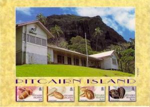 Pitcairn Island ~ Shells . The School