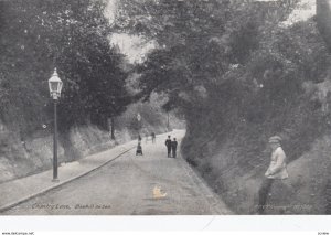 BEXHILL-on-Sea , England , 1900-10s ; Chantry Lane