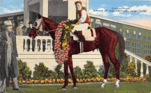 H76/ Louisville Kentucky Postcard Linen Gallahadion Derby Horse Champ 185