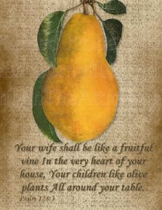 Mixed Postcard Set 6, Proverbs & Psalms Decorated /Vintage Fruit Images on set