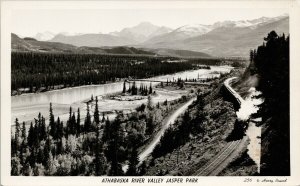 Athabasca River Valley Jasper Park Alberta Train Harry Rowed 256 Postcard G10