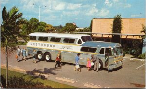 Greyhound Bus Super Scenicruiser Vintage Postcard F79