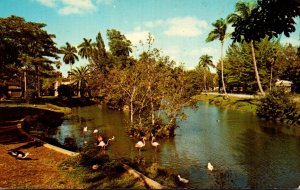 Florida Miami Springs Miami Springs Villas and Kings Inn The Lagoon Tropical ...