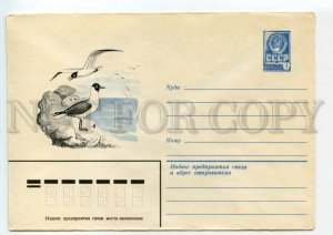 477473 USSR 1982 year Krasilnikov bird Black-headed Gull postal COVER