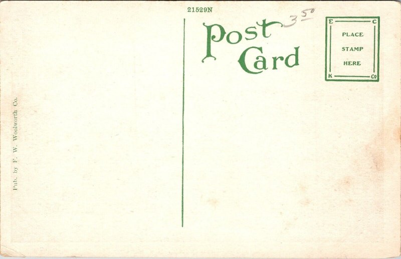 Postcard Kansas City Minnesota Avenue Street View Shops Street Lamp 1919 V66