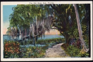 Florida The Old Moss Oak - White Border