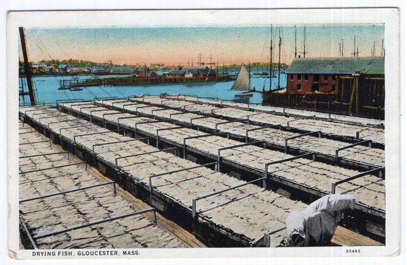 Gloucester, Mass, Drying Fish