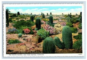 1915-20 The Devils Garden Near Palm Springs, CA. Postcard F126E