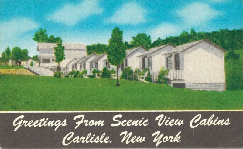 USA - New York Carlisle Greetings from Scenic View Cabins 04.29