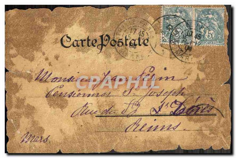 Old Postcard The two pigeons