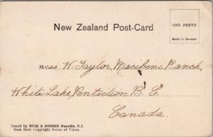 Queenstown NZ New Zealand Lake Wakatipu Muir & Moodie Postcard E33