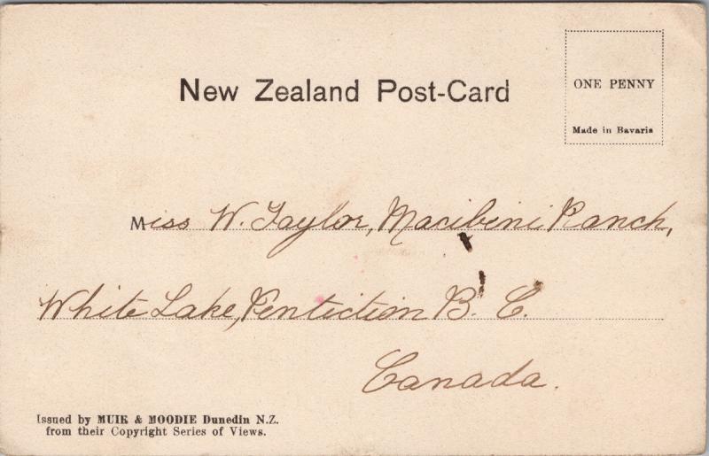 Queenstown NZ New Zealand Lake Wakatipu Muir & Moodie Postcard E33
