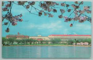 Washington DC~Bureau Of Engraving~Reflects In The Tidal Basin~Vintage Postcard