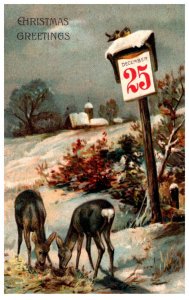 Santa Claus ,  Date on Pole,   Deer Feeding