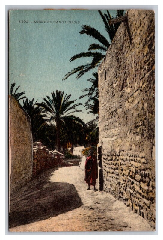 Une Rue Street View dans l'Oasis Tunisia  UNP DB Postcard Q25