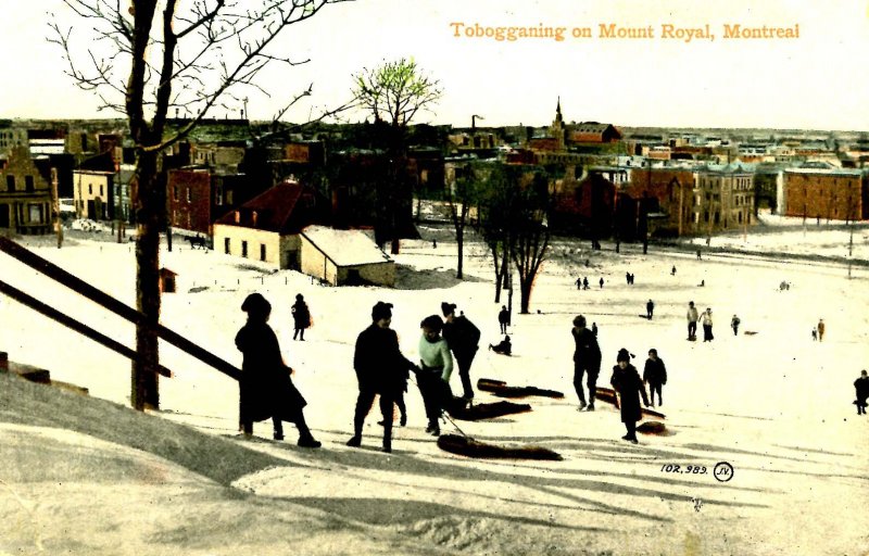 Canada - QC, Montreal. Mt. Royal. Tobogganing