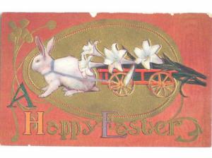Divided-Back EASTER BUNNY RABBIT SCENE Cute Postcard AA1151