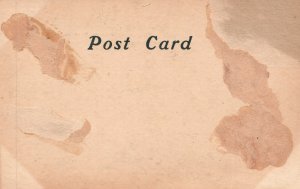 Vintage Postcard 1900's View On Lake Champlain New York Shore Vermont Card Co.