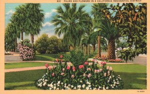 Vintage Postcard Palms & Flowers in a California Residential District Landscapes