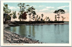 Pine Island Belgrade Lakes Maine ME Nature Attractions Antique Postcard