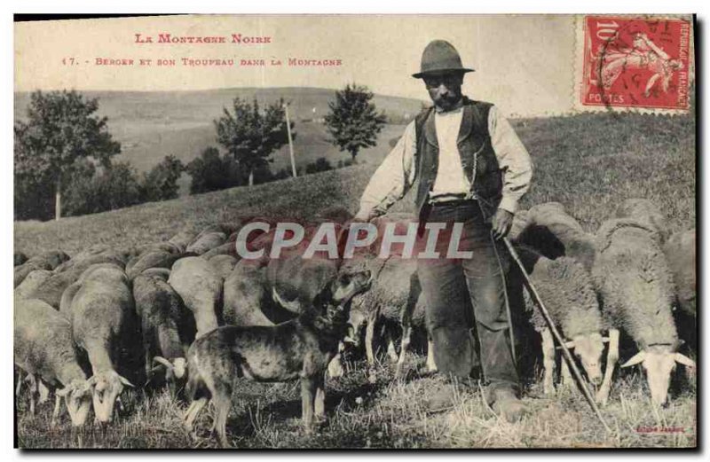 Old Postcard Dog Dogs the black mountain Shepherd and his flock in the mounta...