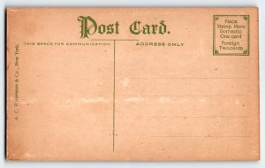 Salem Witch Flying Left Postcard Bat Black Cat Crescent Moon Willis Wipple 1908 