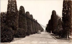 Wells Road Palm Beach Florida Real Photo Postcard PC279