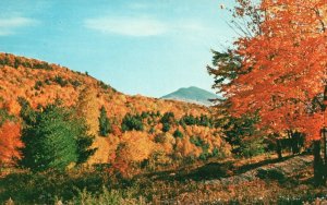 Camel's Hump Mountain, Leaf Peeper Ever Fall Vermont Foliage, Vintage Postcard