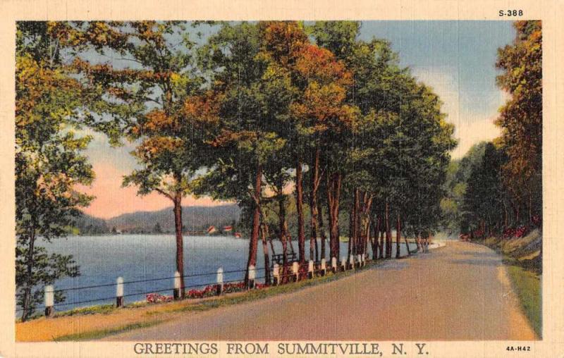 Summitville New York Greetings Road Scenic Vintage Postcard JC932813