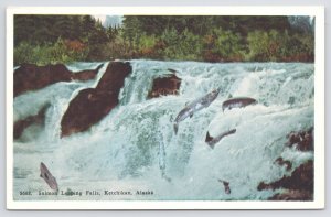 State View~Ketchikan Alaska~Salmon Leaping Falls Up Ketchikan Creek~Vintage PC