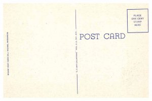 Postcard PARK SCENE Kenosha Wisconsin WI AS6704