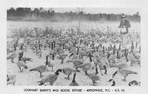 J75/ Ansonville North Carolina RPPC Postcard c30-50s Lockhart Goose Refuge 72