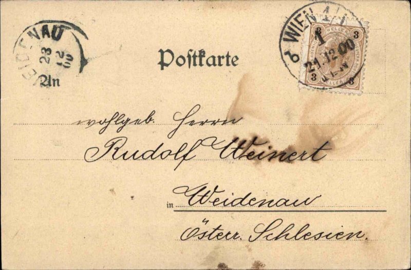 Frohliche Weihnachten Christmas Mary Baby Jesus Star c1910 Vintage Postcard