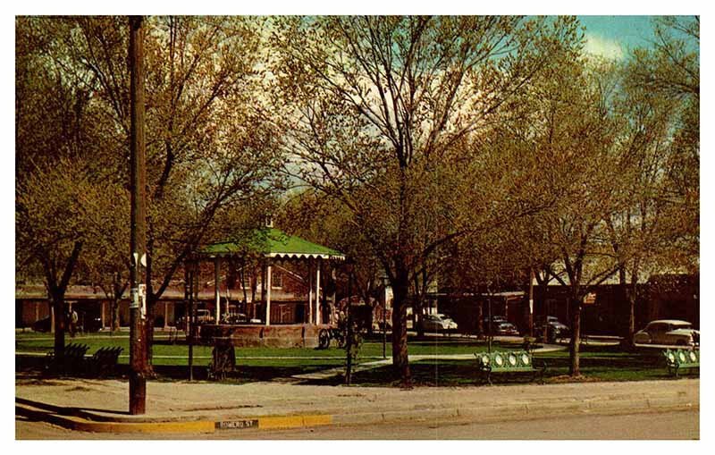 Postcard PARK SCENE Albuquerque New Mexico NM AR9673