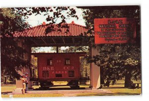 Oneonta New York NY Vintage Postcard Neahwa Park Shrine of Brotherhood Railroad